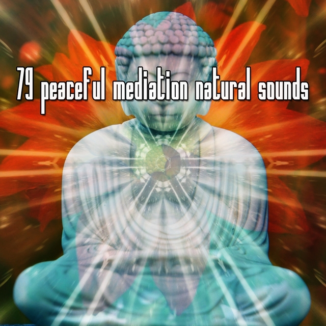 Couverture de 79 Peaceful Mediation Natural Sounds