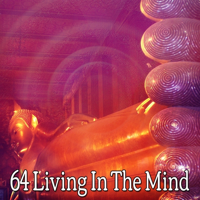 Couverture de 64 Living In The Mind