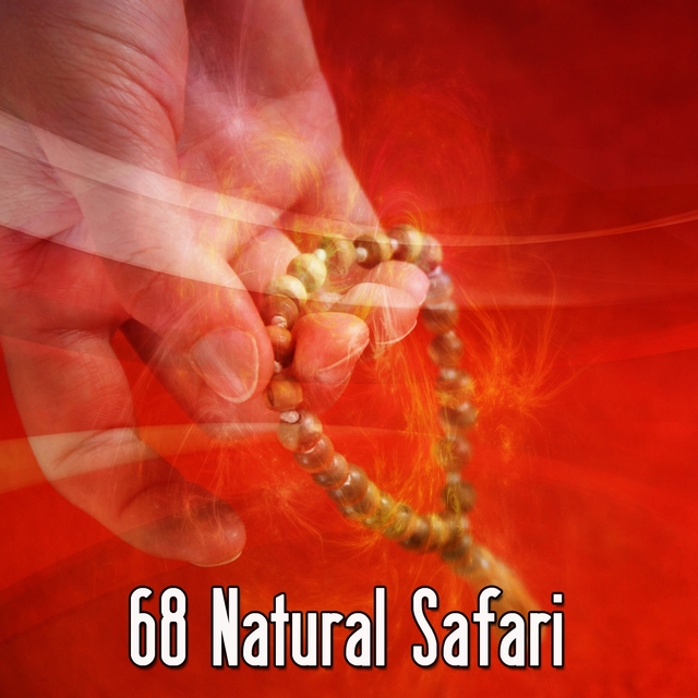 Couverture de 68 Natural Safari