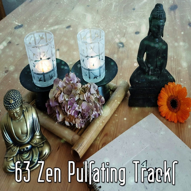 Couverture de 63 Zen Pulsating Tracks