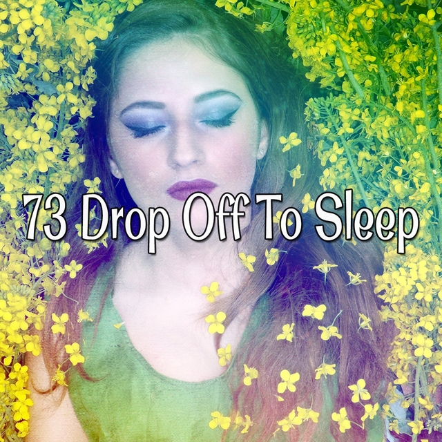 Couverture de 73 Drop Off To Sleep