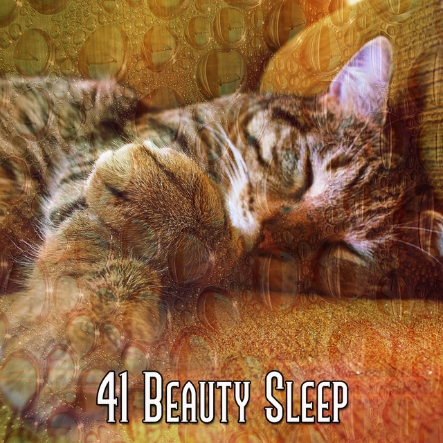 Couverture de 41 Beauty Sleep