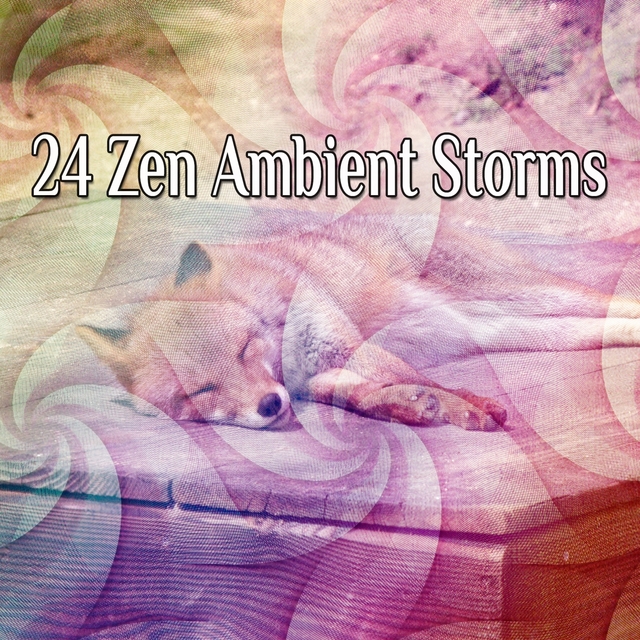 Couverture de 24 Zen Ambient Storms