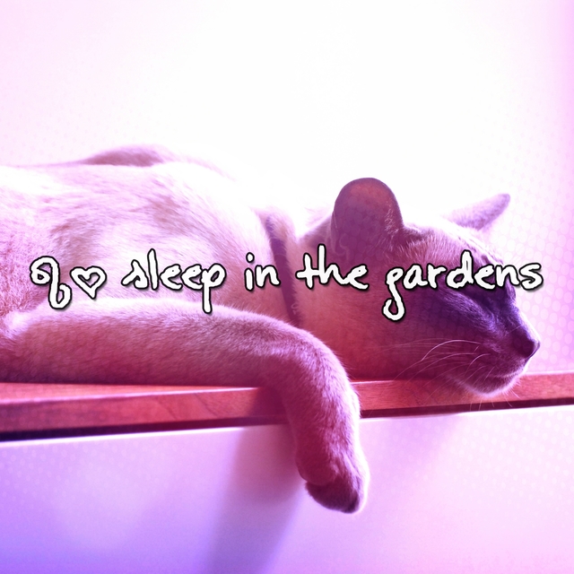 Couverture de 63 Sleep In The Gardens