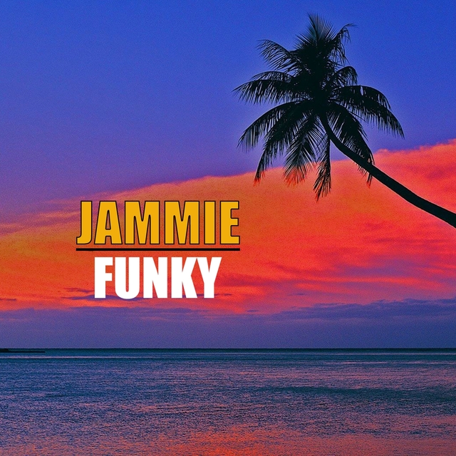 Couverture de Funky