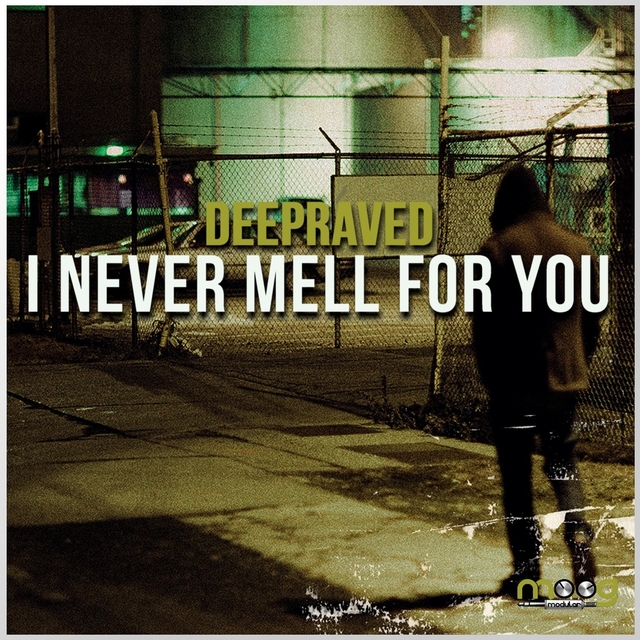 Couverture de I Never Mell for You