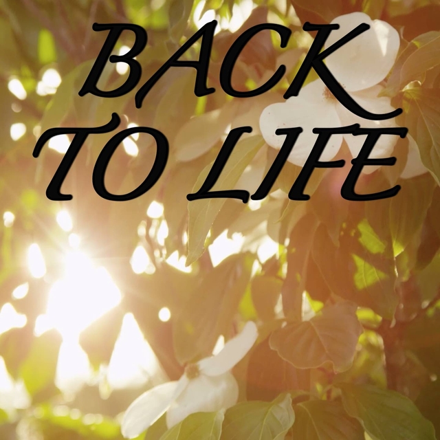 Couverture de Back To Life - Tribute to Hailee Steinfeld