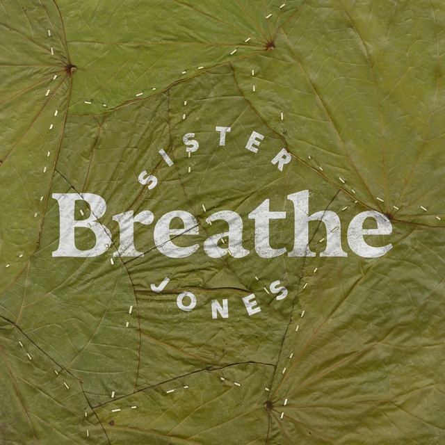 Couverture de Breathe