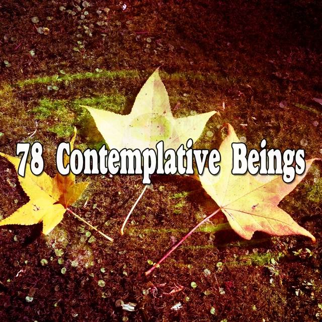 78 Contemplative Beings