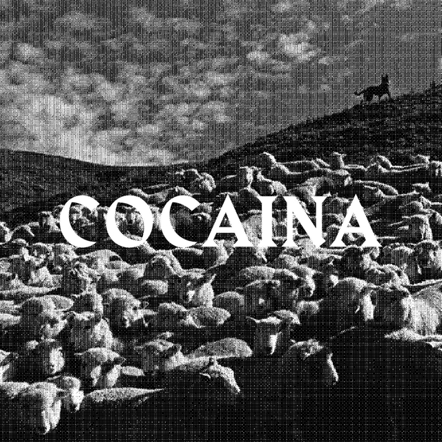 Cocaina