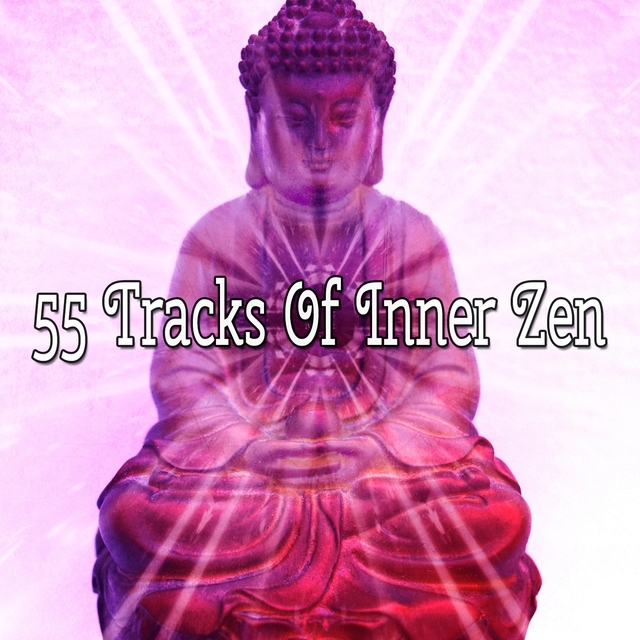 Couverture de 55 Tracks Of Inner Zen