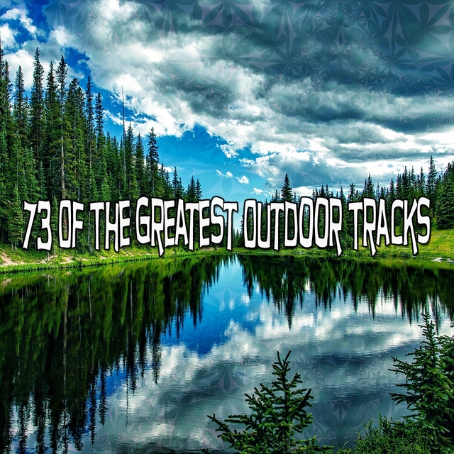 Couverture de 73 Of The Greatest Outdoor Tracks