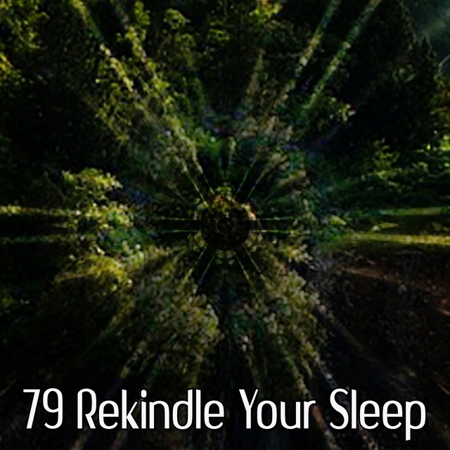 Couverture de 79 Rekindle Your Sleep