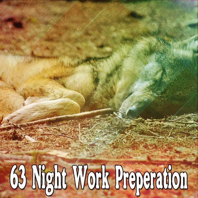 63 Night Work Preperation