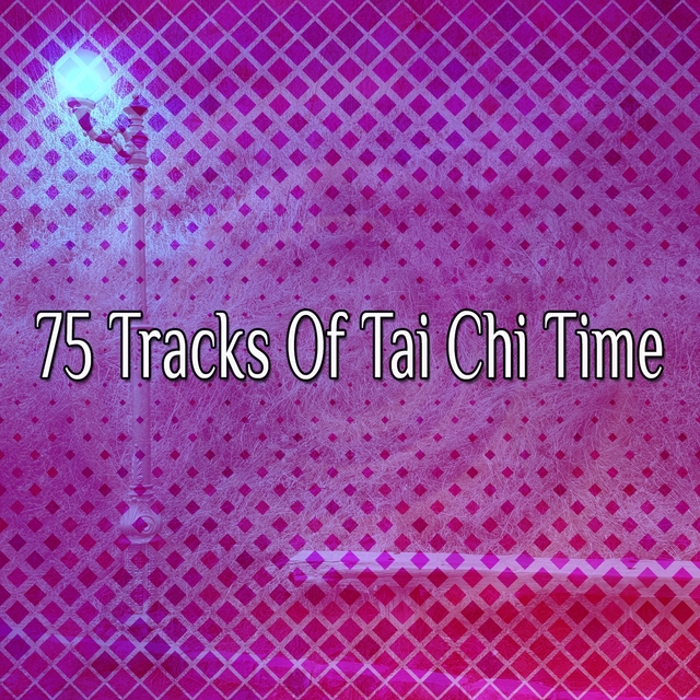 Couverture de 75 Tracks Of Tai Chi Time