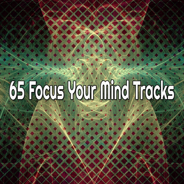 Couverture de 65 Focus Your Mind Tracks