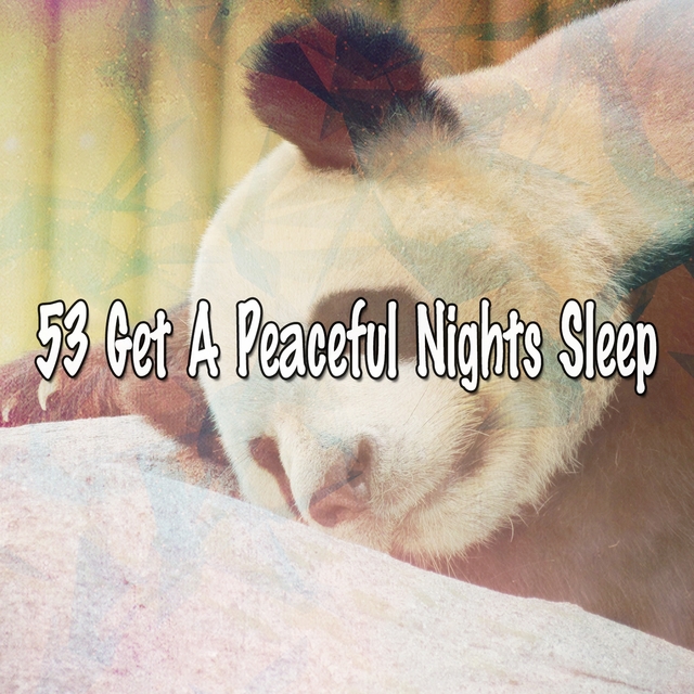 Couverture de 53 Get A Peaceful Nights Sleep