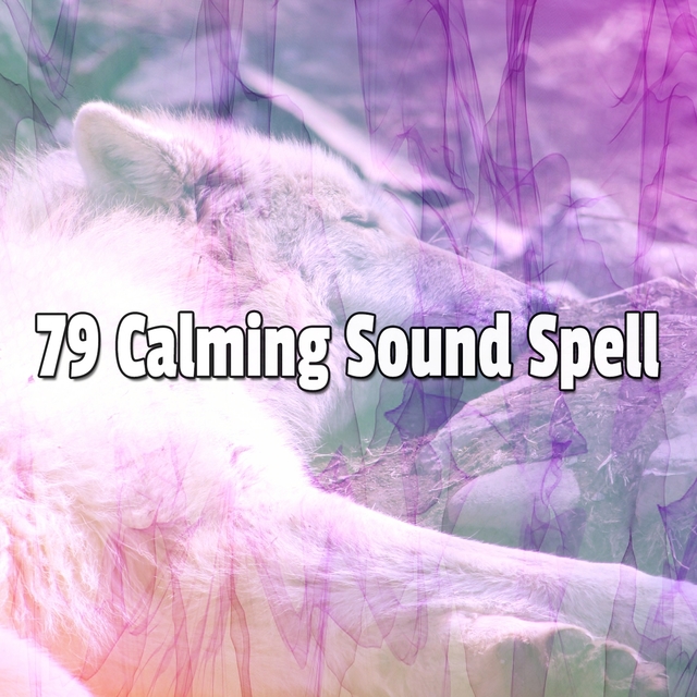 Couverture de 79 Calming Sound Spell
