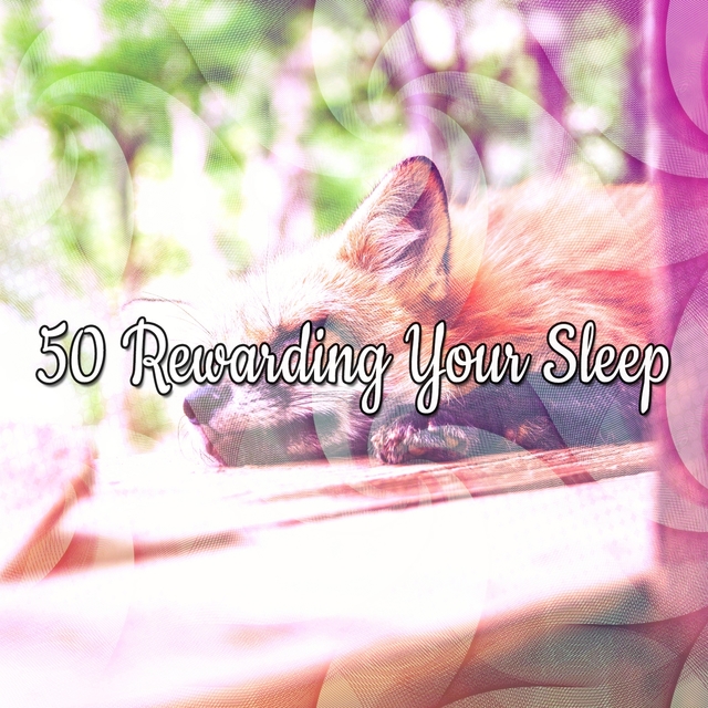 Couverture de 50 Rewarding Your Sleep