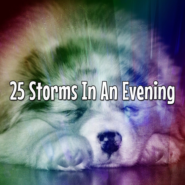 Couverture de 25 Storms In An Evening