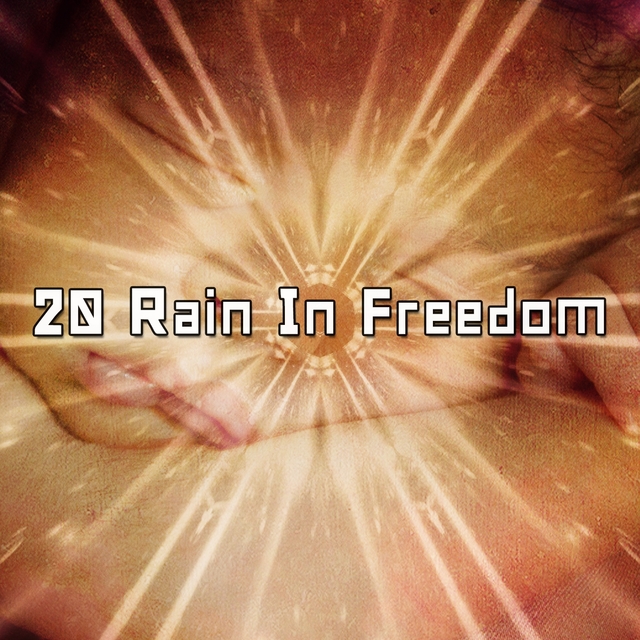 Couverture de 20 Rain In Freedom