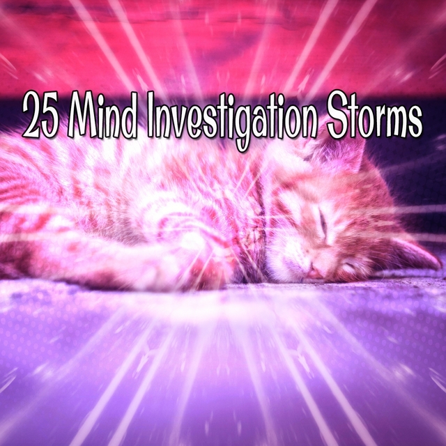 25 Mind Investigation Storms