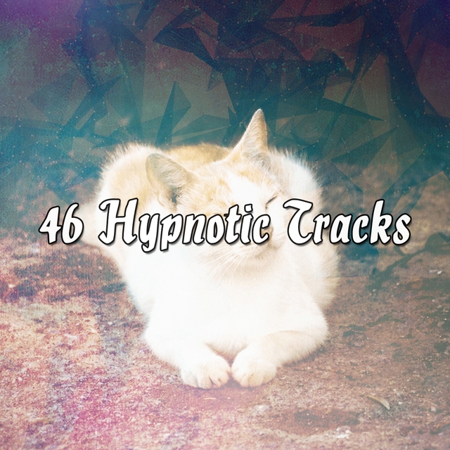 Couverture de 46 Hypnotic Tracks