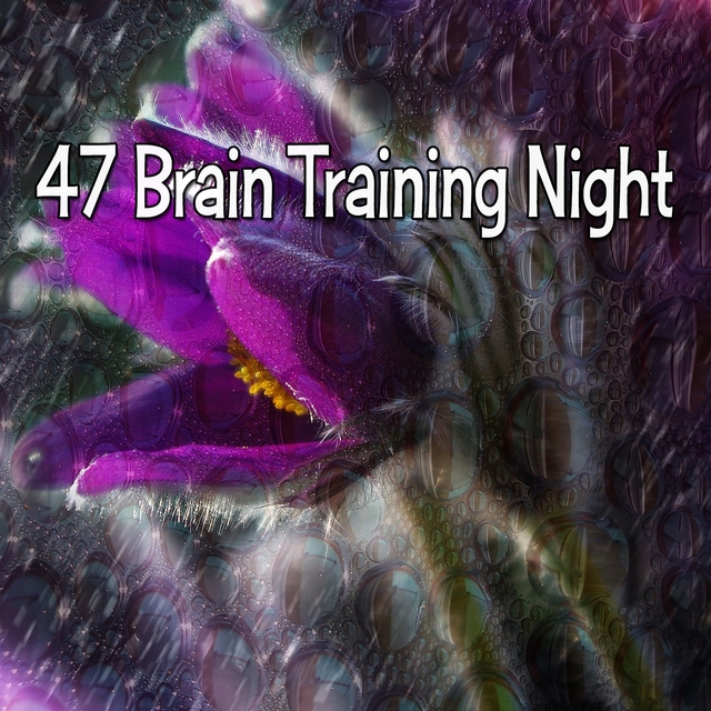 Couverture de 47 Brain Training Night