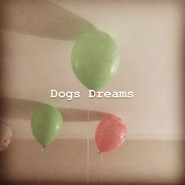 Couverture de Dogs Dreams