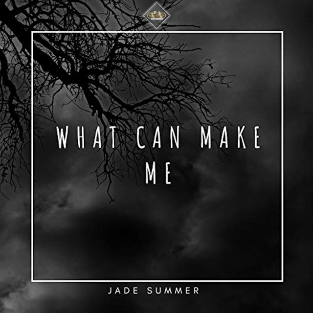 Couverture de What Can Make Me