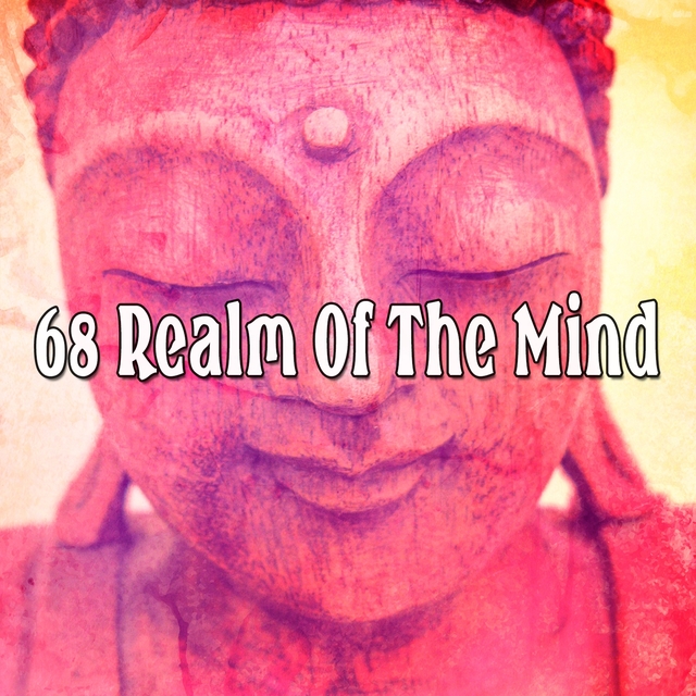 Couverture de 68 Realm Of The Mind