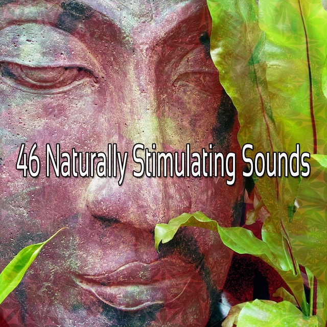 Couverture de 46 Naturally Stimulating Sounds