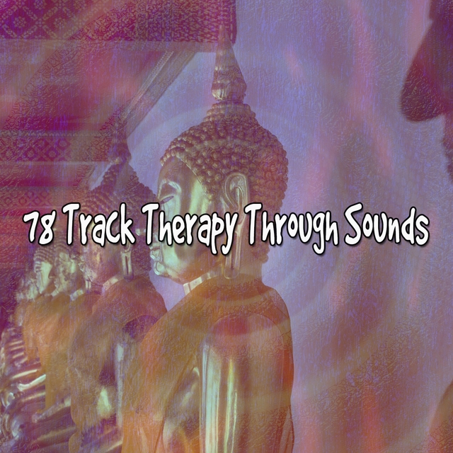 Couverture de 78 Track Therapy Through Sounds