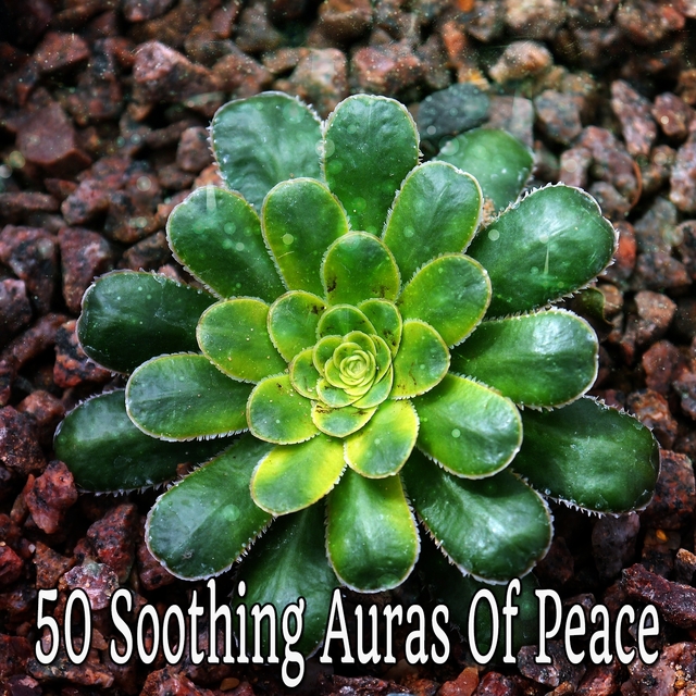 Couverture de 50 Soothing Auras Of Peace