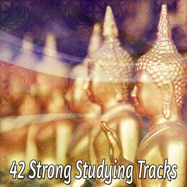 Couverture de 42 Strong Studying Tracks