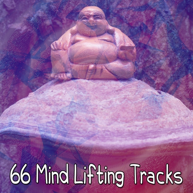 Couverture de 66 Mind Lifting Tracks