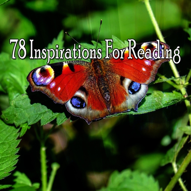 78 Inspirations For Reading