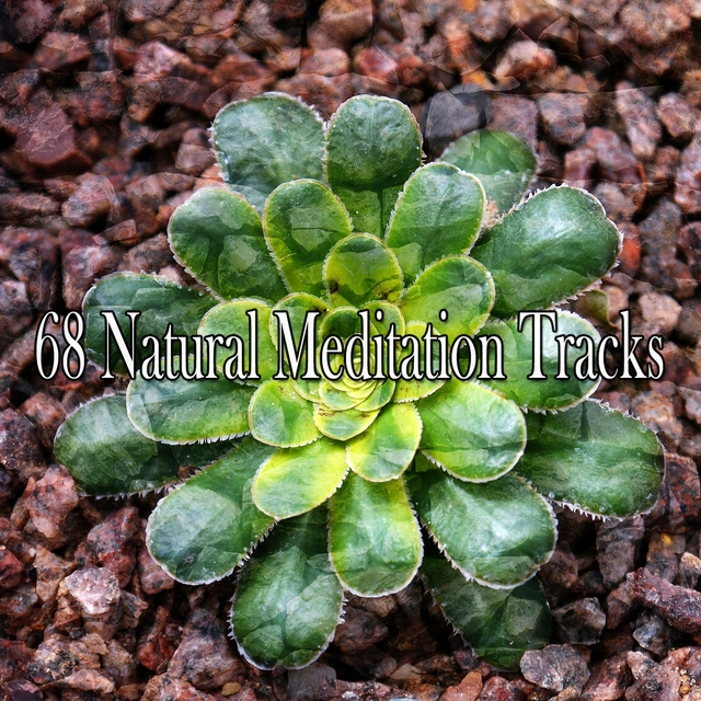 68 Natural Meditation Tracks