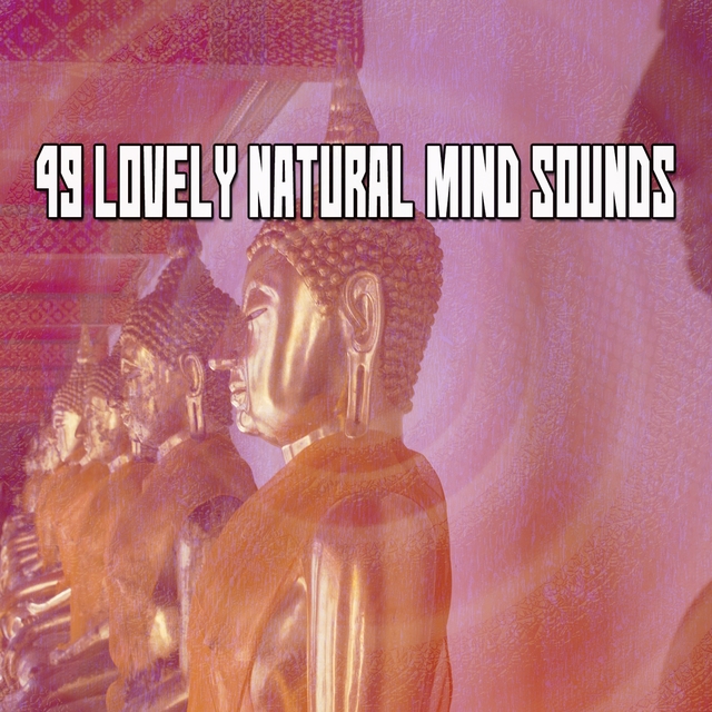 Couverture de 49 Lovely Natural Mind Sounds