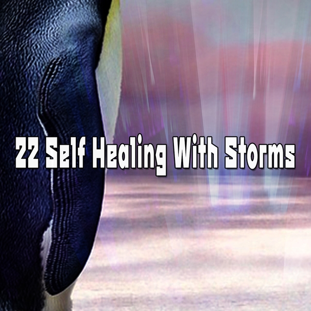 Couverture de 22 Self Healing With Storms