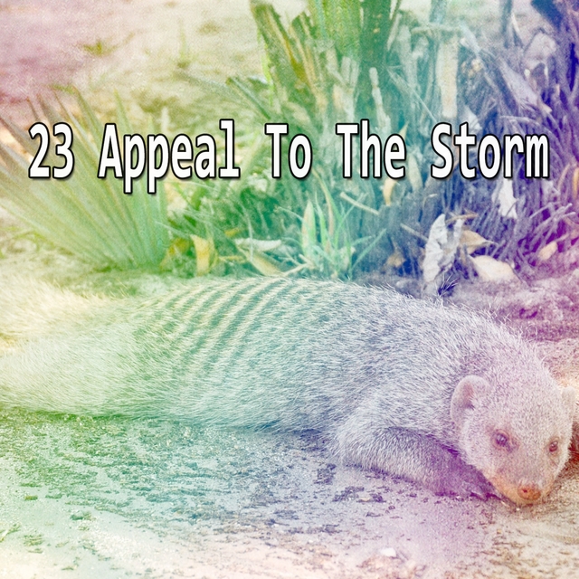 23 Appeal To The Storm