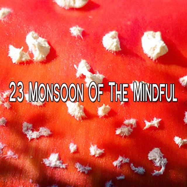 23 Monsoon Of The Mindful