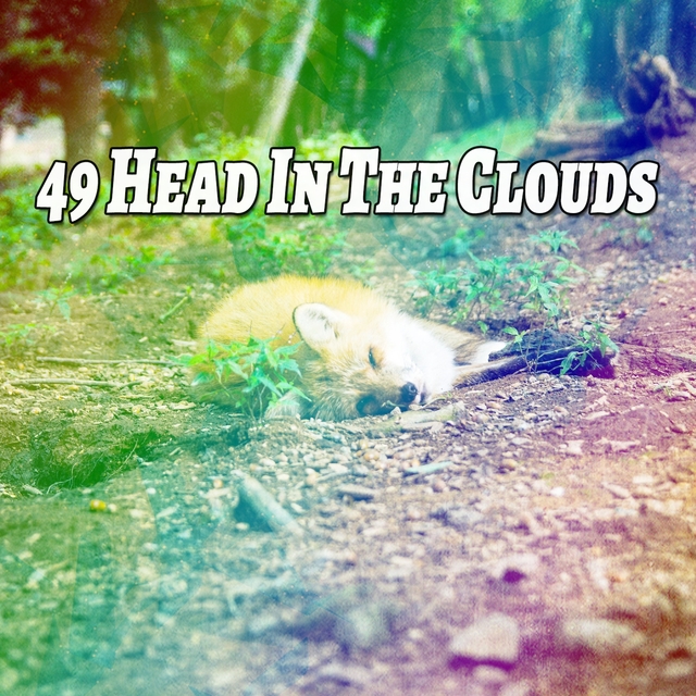 49 Head In The Clouds