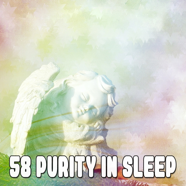 Couverture de 58 Purity In Sleep