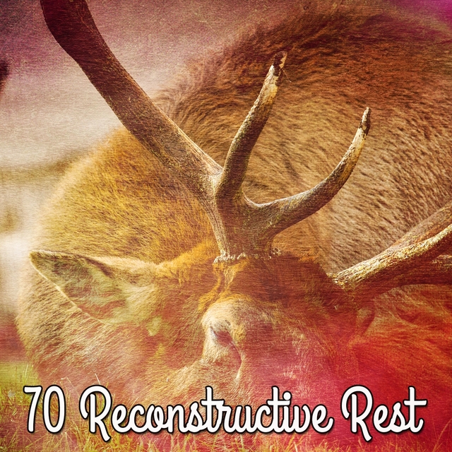 70 Reconstructive Rest