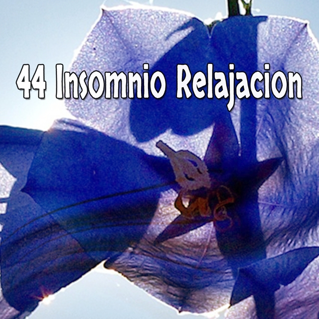 Couverture de 44 Insomnio Relajacion