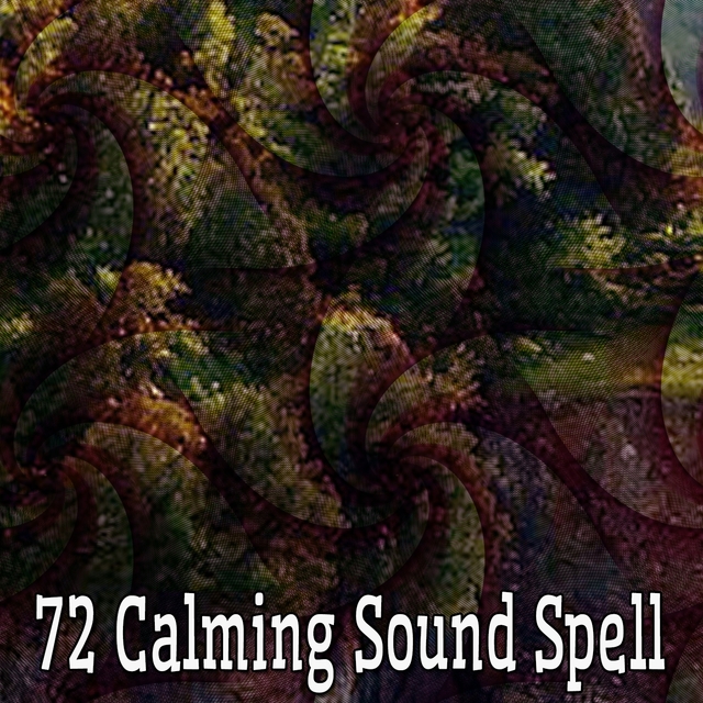 Couverture de 72 Calming Sound Spell