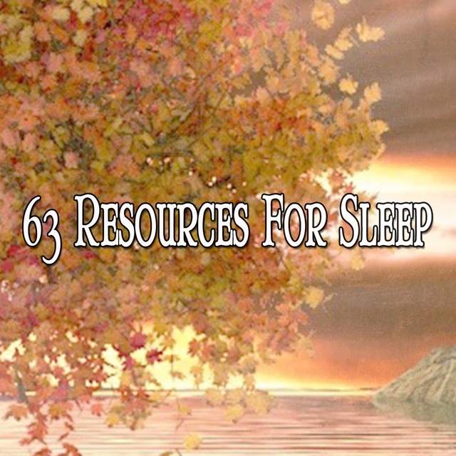 Couverture de 63 Resources For Sleep