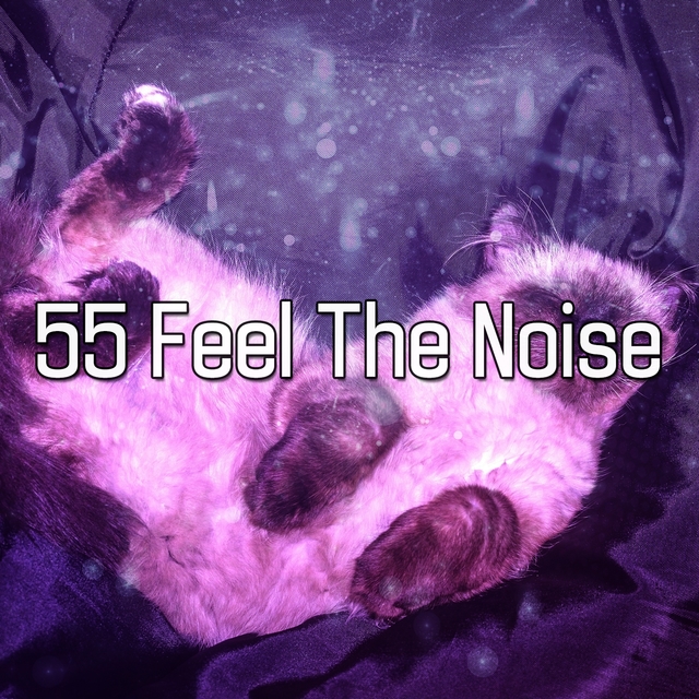 Couverture de 55 Feel The Noise