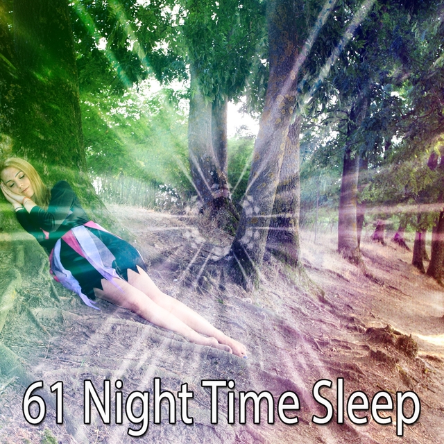 61 Night Time Sleep